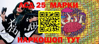 стаф Кандалакша
