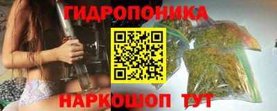 стаф Кандалакша