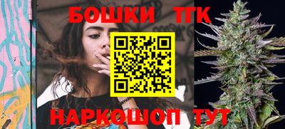 тгк Камышлов