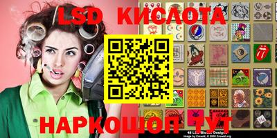 стаф Кандалакша