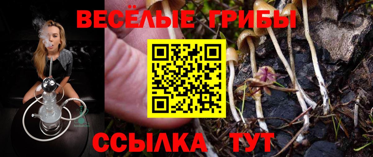 Псилоцибиновые грибы Magic Shrooms  Галлюциногенные грибы Psilocybine cubensis  Вход с VPN  как найти наркотики  Гусиноозёрск 
